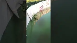 делаем пруд из каркасного басейна 😄
