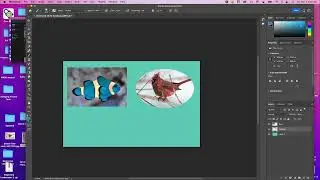 Beginner Tour of Photoshop Part 2