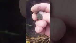 перстень на копе 