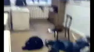 2017 Новинка прикол школа выживания