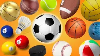 Learn Types of Sports Balls | Learn  Sports Vocabulary for Kids and toddlers 
