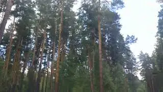 12 июля 2022 г.