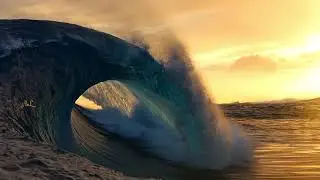 Tribute To Our Beautiful Nature