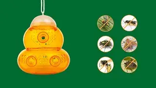 Wasp Trap 2-Pack - Traps Wasps, Bee Traps Hornets, and Bees