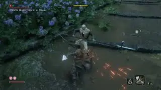 Sekiro Shadows Die Twice - Shinobi Hunter Enshin of Misen Boss Fight
