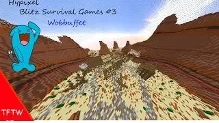Blitz Survival Games #3 