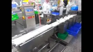 Automatic sorting mahcine weighing scale