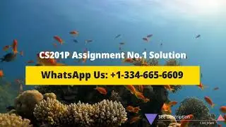 CS201P Assignment No. 1 Solution Spring 2023