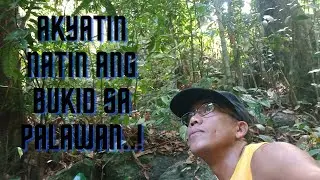 akyatin natin ang bukid sa Palawan..