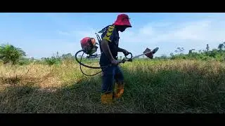 seorang diri di pinggir hutan mesin rumput untuk tanam sawit 4 stroke
