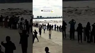 #شوف_تيفي