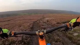Area 51 Trail Hamsterley
