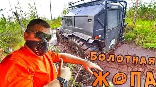 Вездеходы по торфяному болоту !