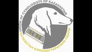 Маңғыстау облысының тазы иелеріне құттықтау