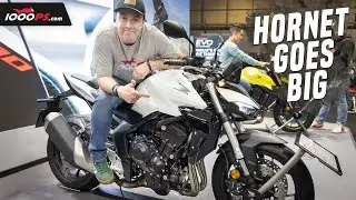 Honda CB 1000 Hornet - first look - Motorcycle Live Birmingham