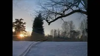 Зима