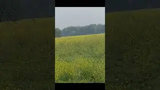 26 फ़रवरी 2024