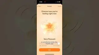 Do you like Apple’s mood logging tool & would you use it? #mindfulness