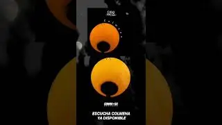 COLMENA CIELORAZZO