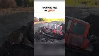#shorts #трактор #деревня #сельскоехозяйство #тракторист