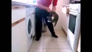 Голодные котята =3