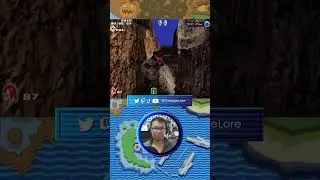 Wild Canyon (31s) - Sonic Adventure 2 #shorts