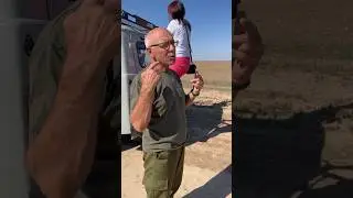 А Вы знали, что лебедь может быть опасен? Брачные игры у птиц #птицы #природа