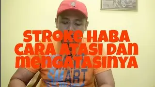 stroke haba pada arnab