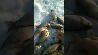 ОТЧЁТ  13 МАРТА.