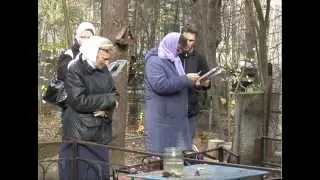 Цельбоносный утешитель