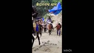 केदारनाथ यात्रा,गौरीकुंड से केदारनाथ धाम यात्रा की पूरी जानकारी,केदारनाथ यात्रा 2024,केदारनाथ धाम
