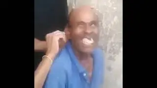 собачий кайф