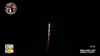 SH5009 BRILLIANT LIFE --- SHINY STAR FIREWORKS