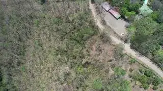 Discover Your Dream: Land Parcel with Teak Trees, Across from Cerro Lodge Hotel in Tarcoles!