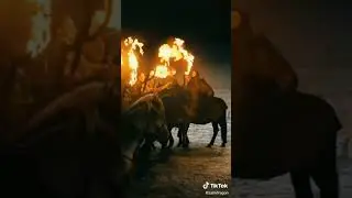 GAME OF THRONES LAST BATTTLE #got