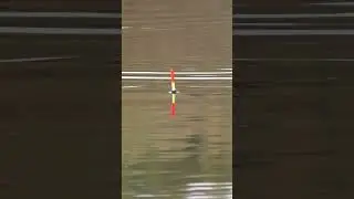 ГОТОВЫ К РЫБАЛКЕ НА УДОЧКУ ???  #рыбалка