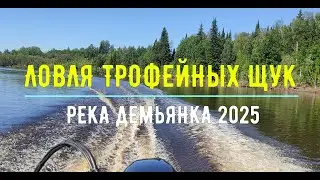 Ловля трофейных щук на реке Демьянка, 19-22 июня 2025