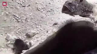 😂