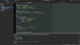 Сериализация JSON в GO,  десериализация в Python