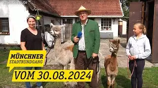 Münchner Stadtrundgang vom 30.08.2024