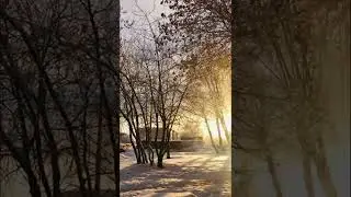 Мороз в городе#shorts