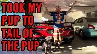 Took my pup to tale of the pup