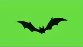 Bats Green Screen Effect 4K  🦇 🦇 🦇 | By green screen videos |