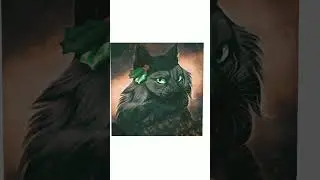 Они умерли каждый из них 😔😟😖 #котывоители