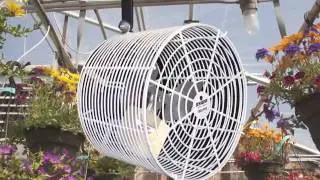 Schaefer 425S12 Galvanized Belt Drive Slantwall Exhaust Fan 42 Inch