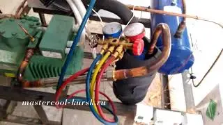 Installation of ST chamber for meat No. 1 Part 5 Start-up setup