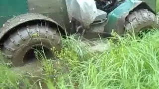 Каракат на Медведь болоте .