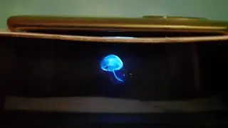 3 types of hologram projectors # science day project # school project