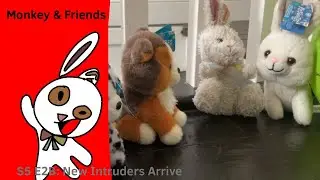 Monkey & Friends | S5 E2B | New Intruders Arrive