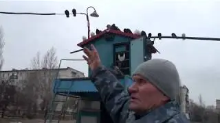 Николай Сатышев о правилал